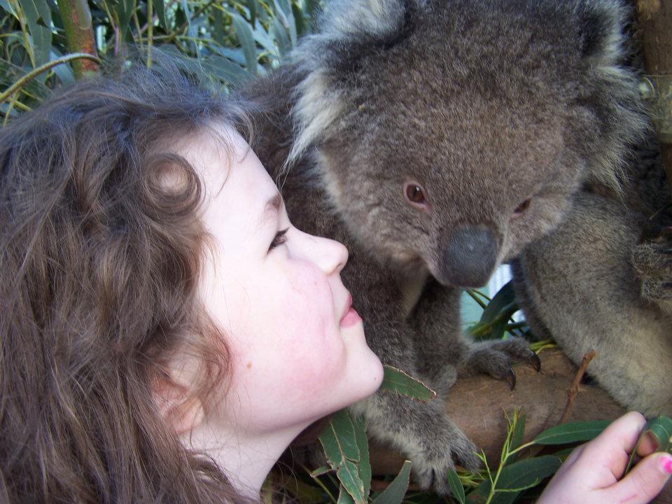 Fauna Australia Wildlife Retreat Lavers Hill Esterno foto