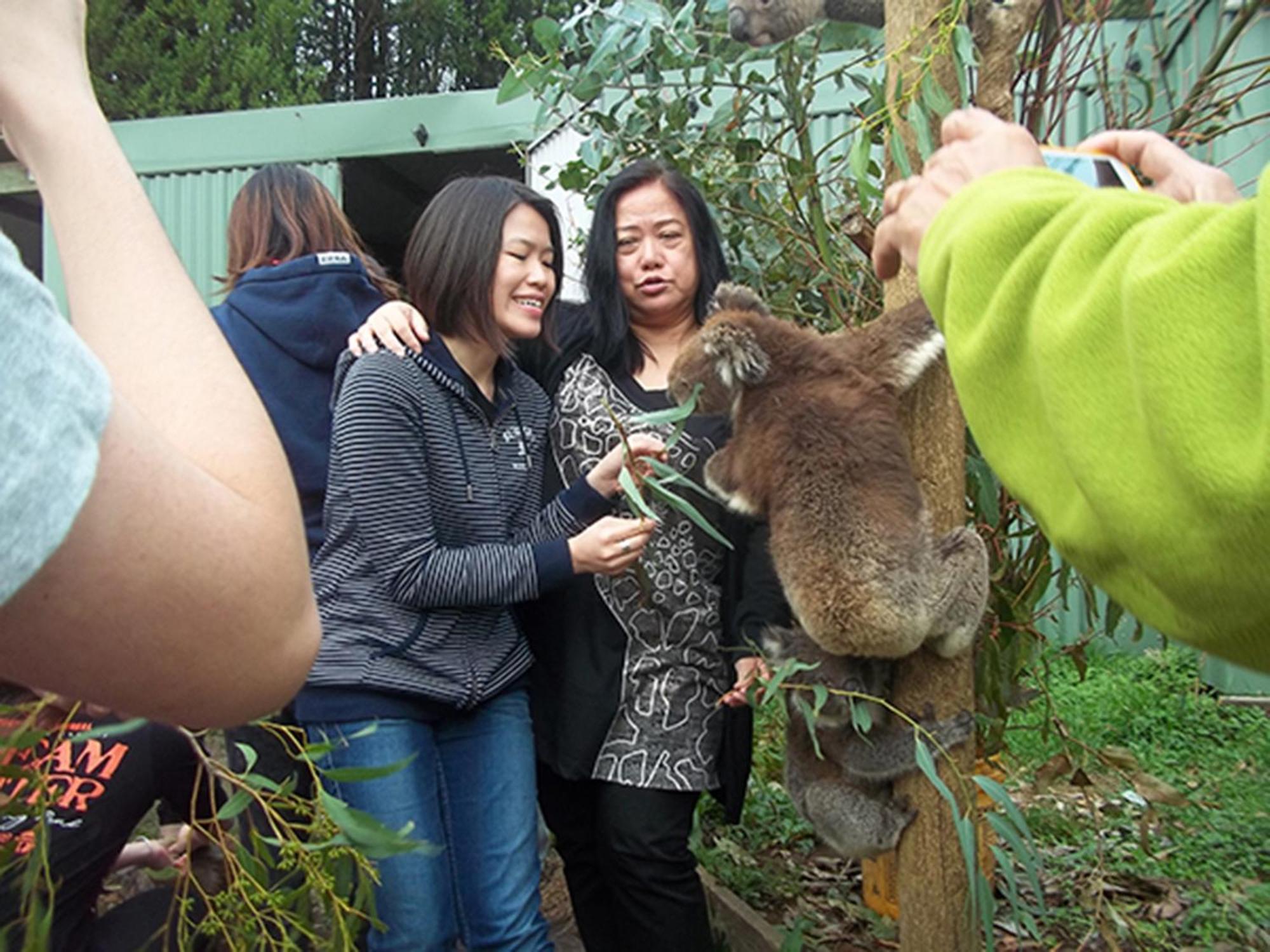Fauna Australia Wildlife Retreat Lavers Hill Esterno foto