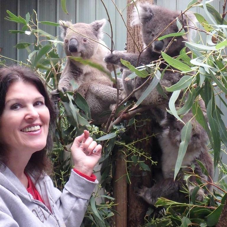Fauna Australia Wildlife Retreat Lavers Hill Esterno foto