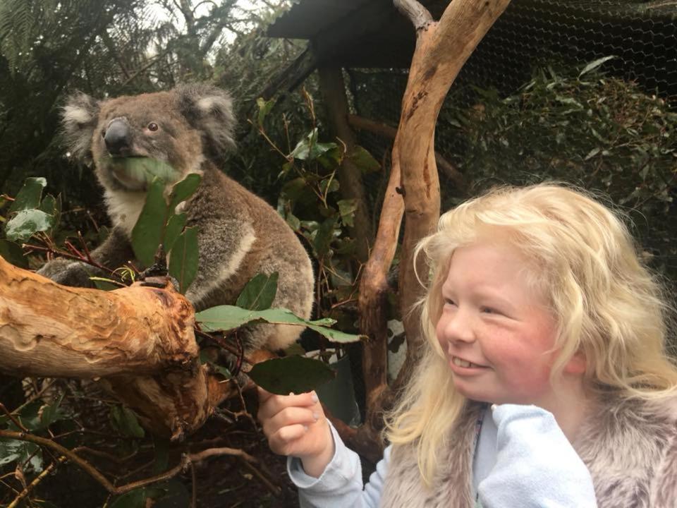 Fauna Australia Wildlife Retreat Lavers Hill Esterno foto